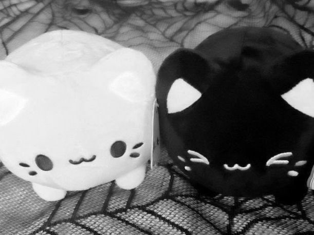 𝓔𝑙𝑦／𝓐𝑛𝑔𝑒𝑙 tweet media