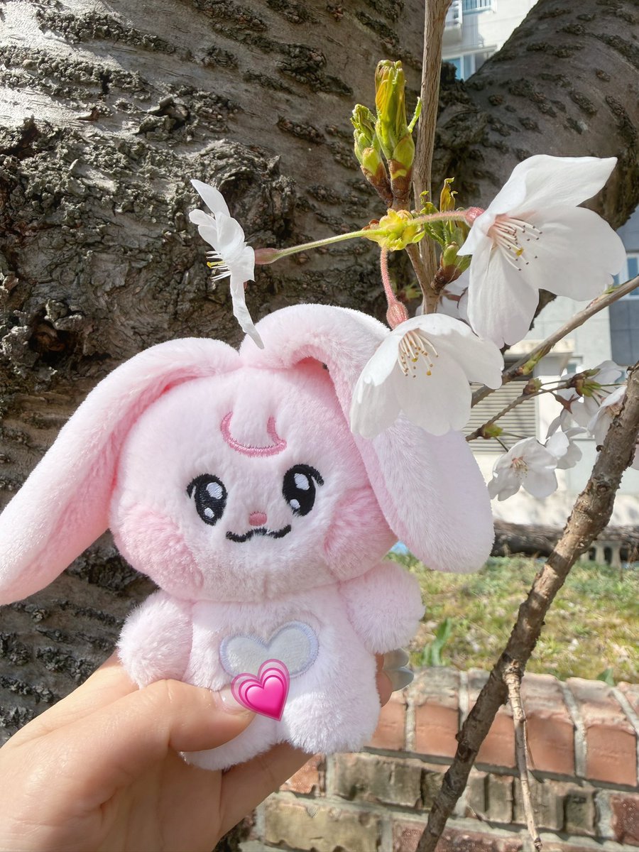 (케찹)뭉치⁶⁵ tweet media