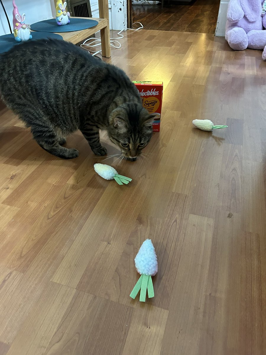 Lt. Petunia Mae Parker 🐷🐑 tweet media