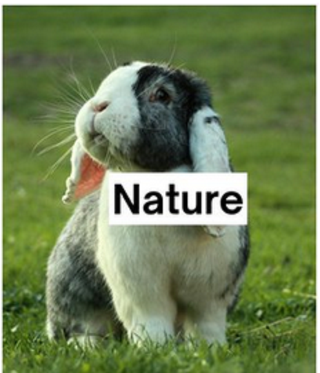 Rosie P ๐ฆ ๐ฆ ๐ท๏ธ ๐ฆญ ๐ ๐๐ณ๐ฒ๐ง tweet media