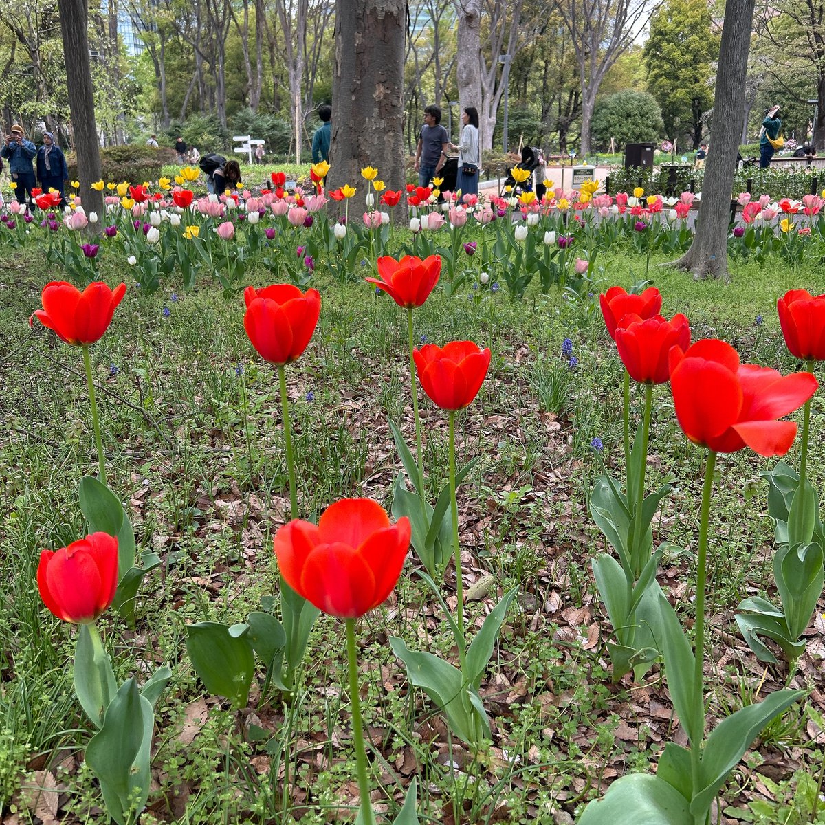 chico🥃 tweet media