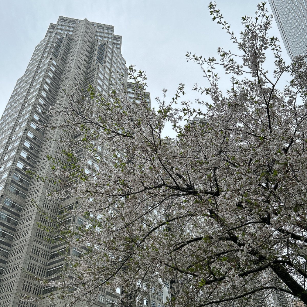 chico🥃 tweet media