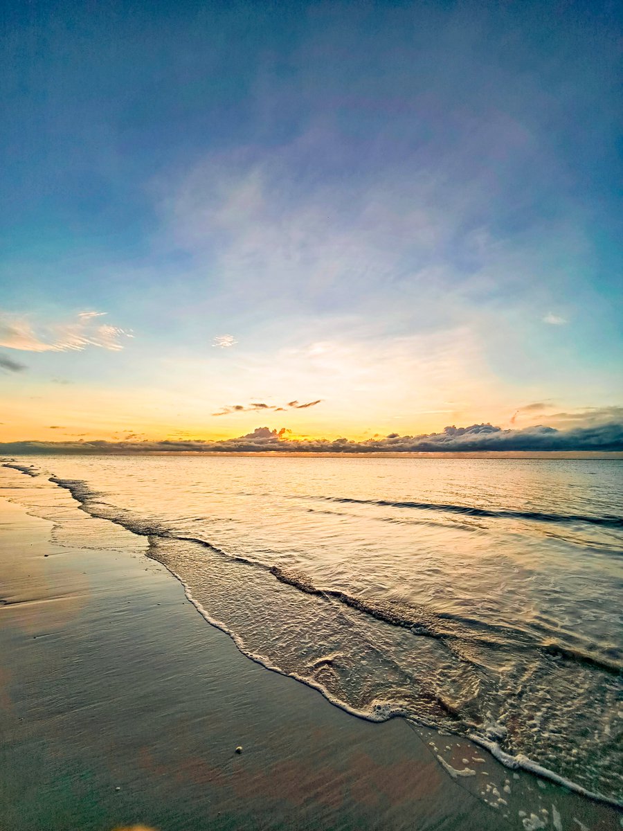 Msafiri Afrika tweet media