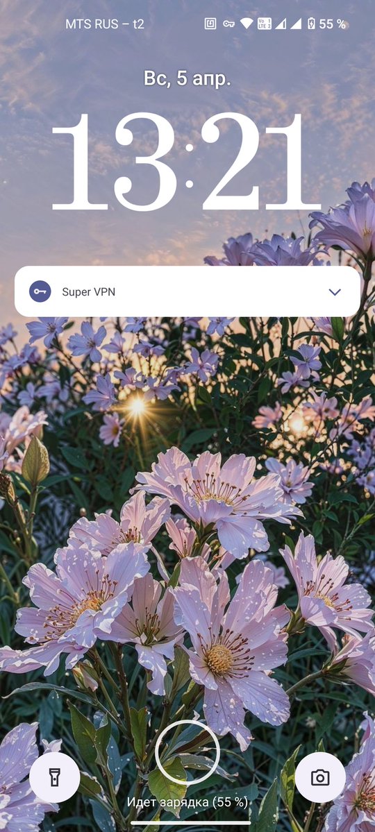 🐁⃤мышь tweet media