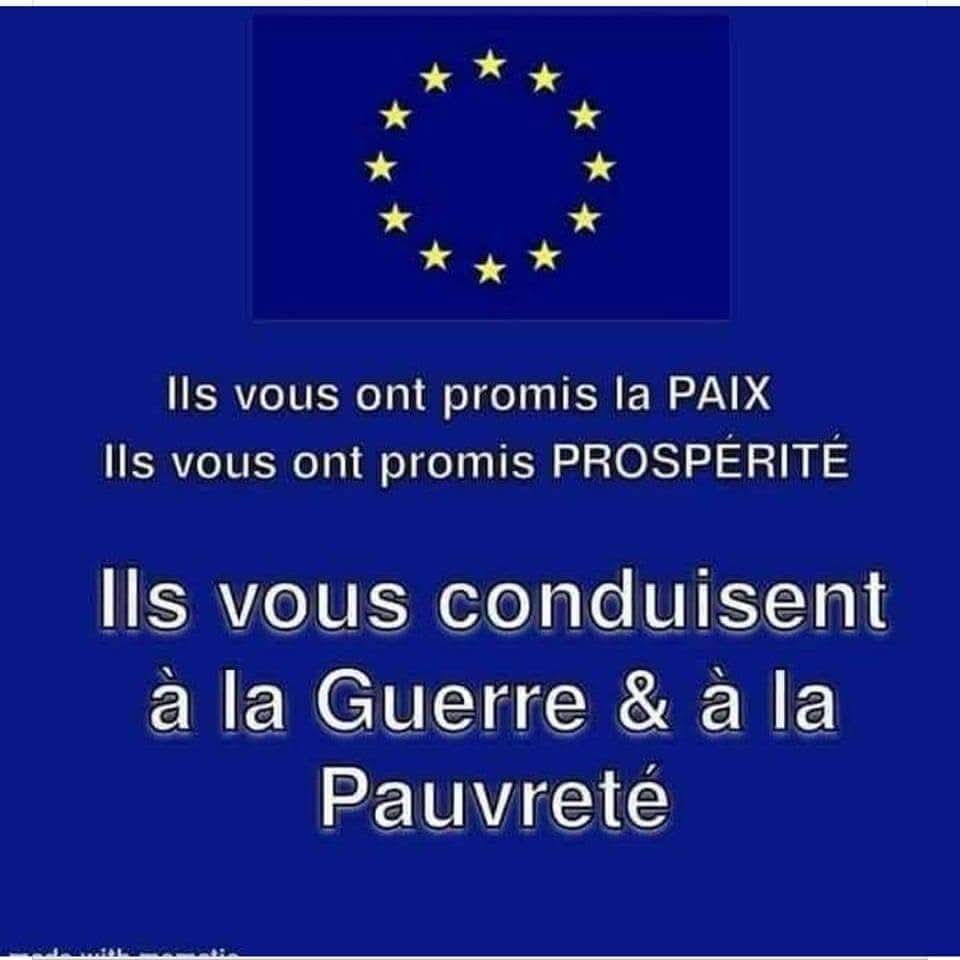 Zack Pale Instinct tweet media