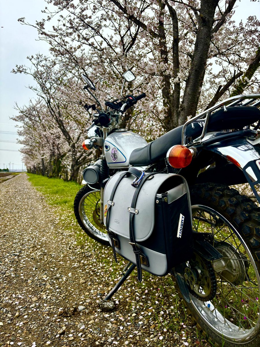 かいしゅ tweet media