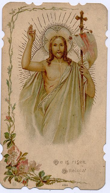 ˚₊‧꒰აPhilothea꒰୨୧꒱₊˚⊹ྀི𖹭 tweet media