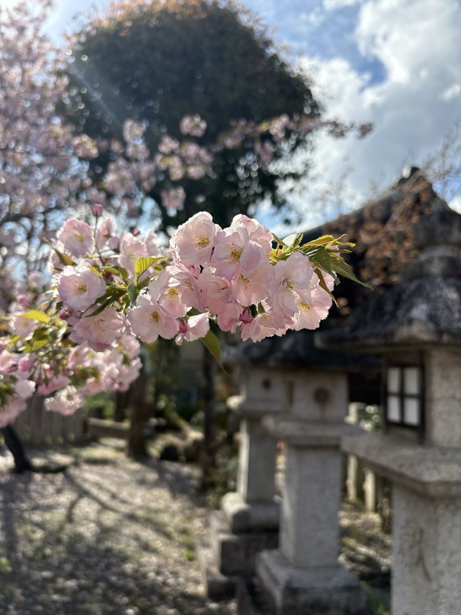 阿部遼子 tweet media