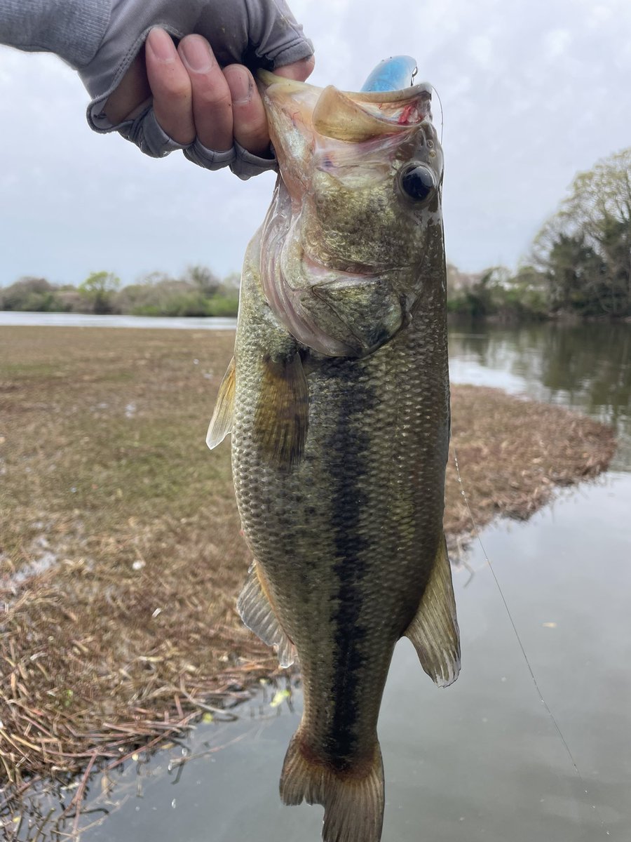 MB井佐知之 tweet media