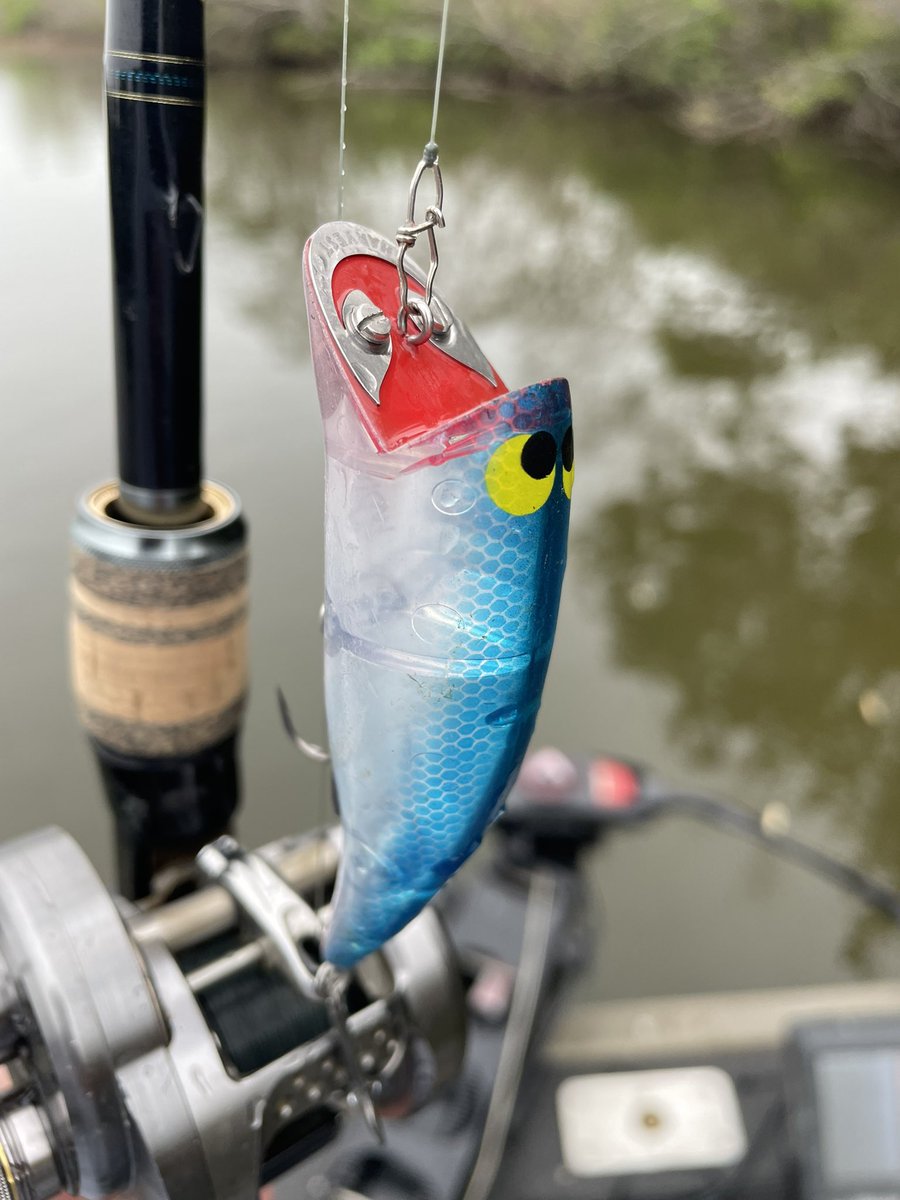 MB井佐知之 tweet media