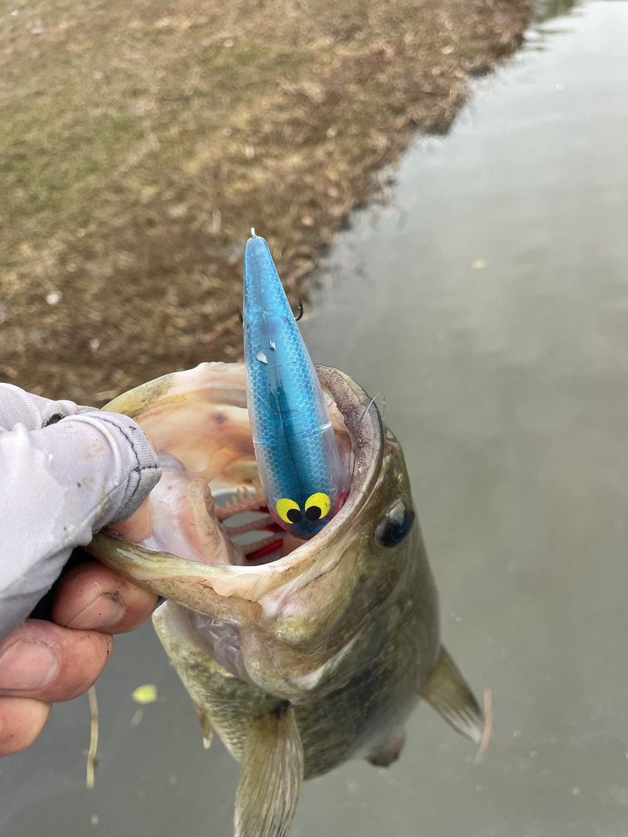 MB井佐知之 tweet media