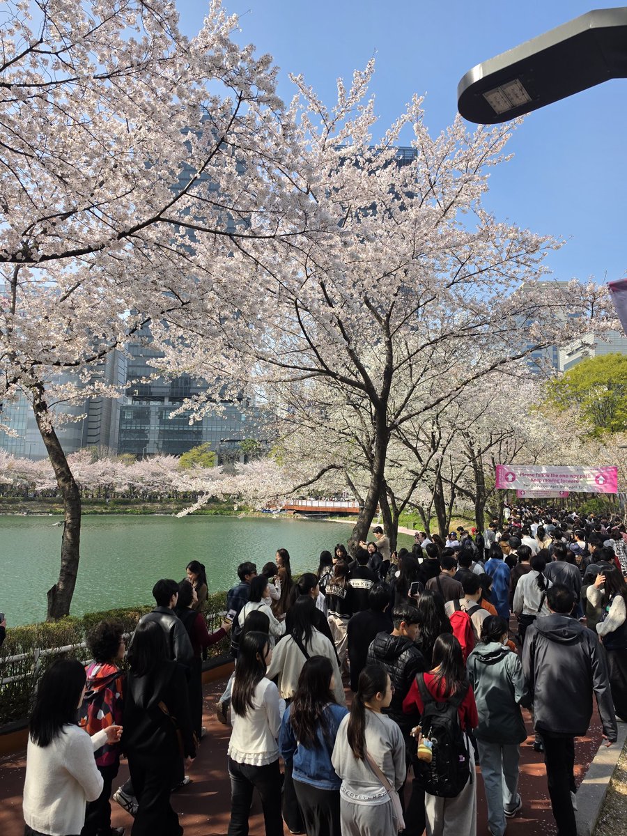 삼색고양이나디아💜 Fan of BTS tweet media