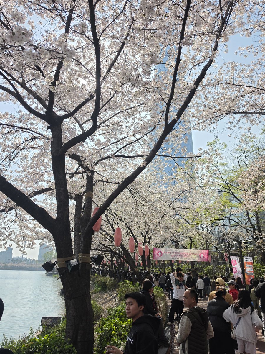 삼색고양이나디아💜 Fan of BTS tweet media