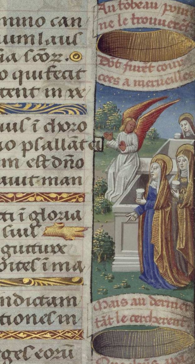 M. de la Almudena Serrano Mota tweet media