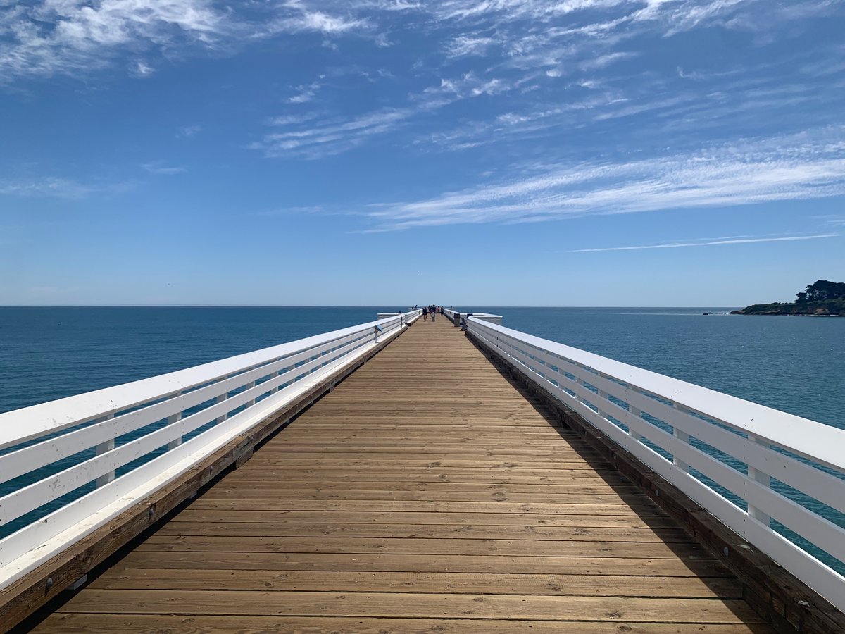 💥 mjULTRA 💥 tweet media