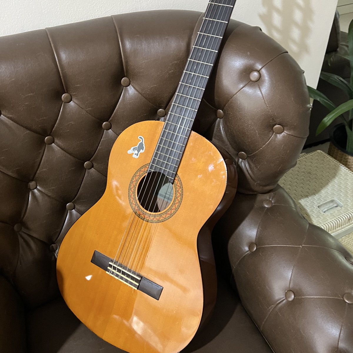 qica #BOTHSIDE tweet media