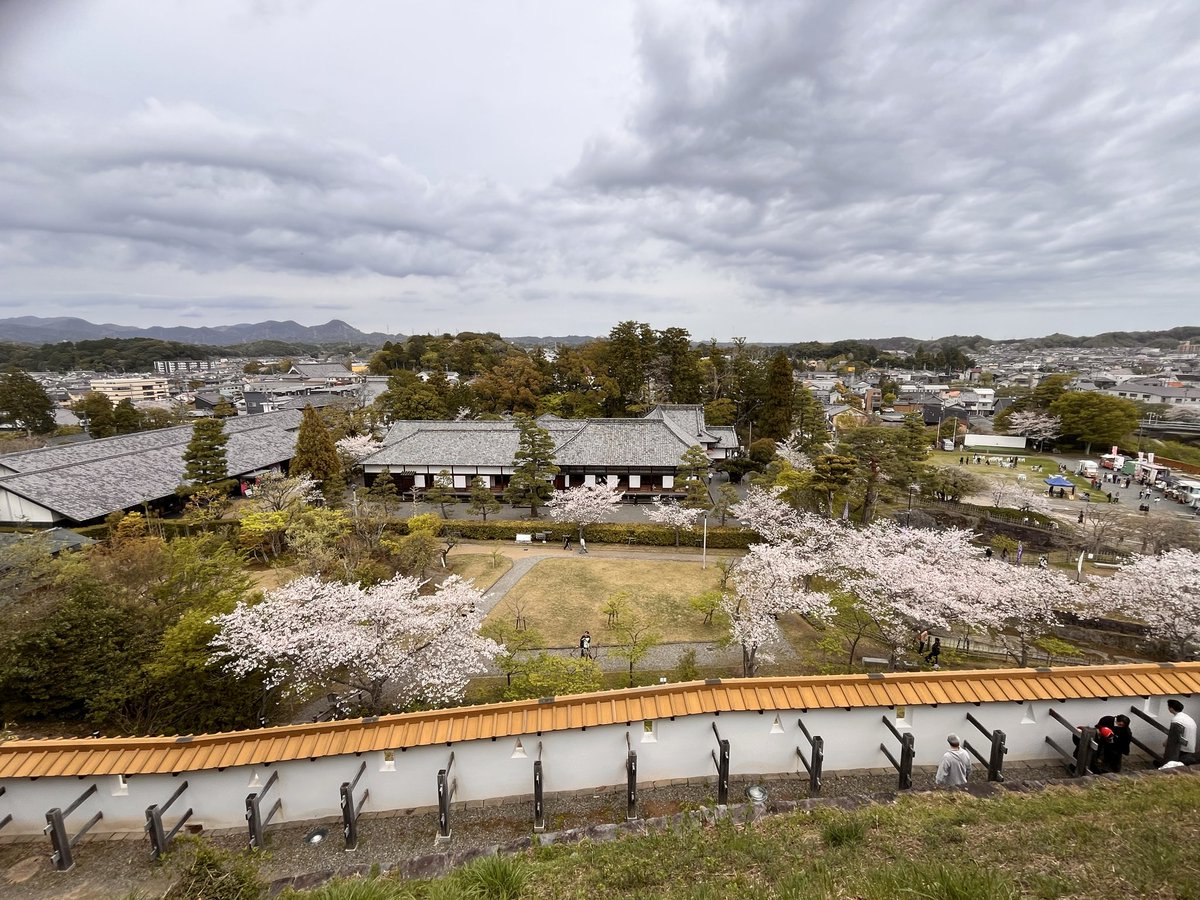 茶坊主 tweet media