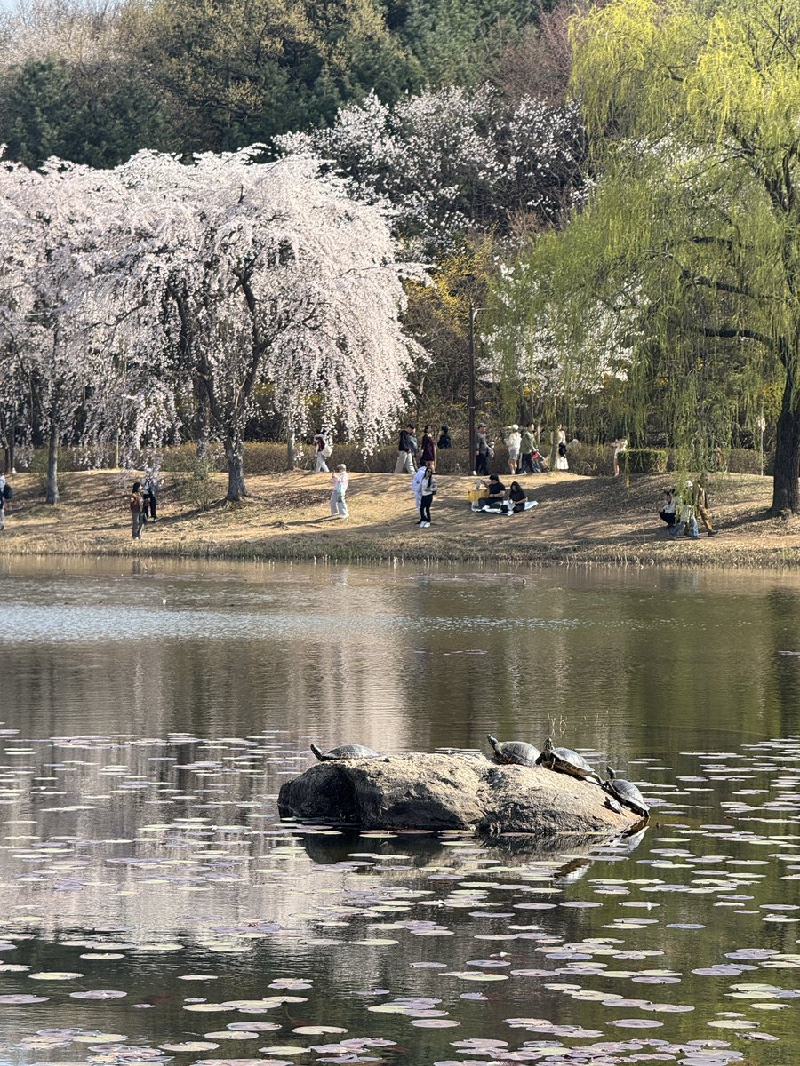 FIT.PILOT tweet media