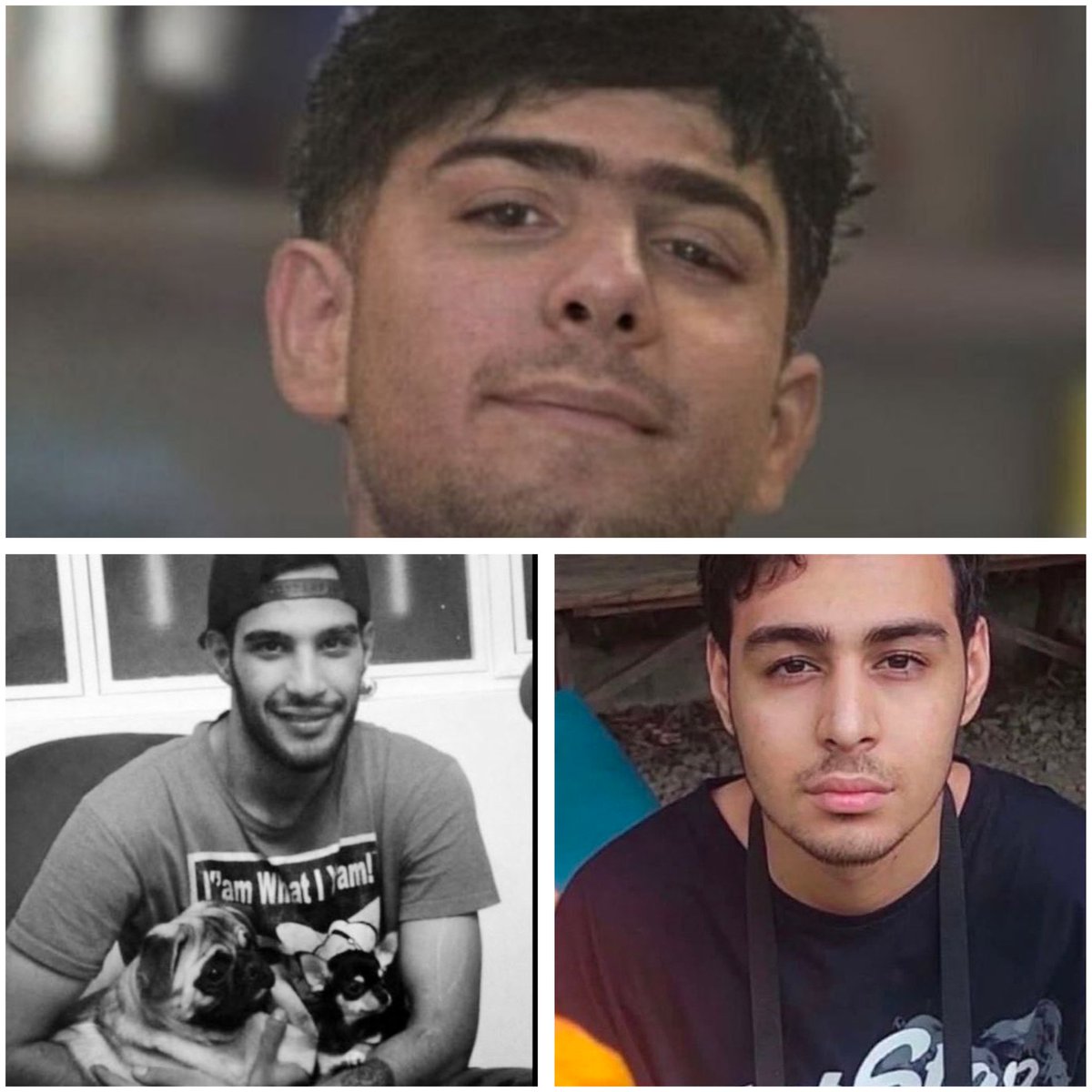Mayekhal's tweet photo. Three crimes against humanity in just 24 hours by islamic regime in Iran

Hossein Ghavi (28) died under torture

Mohammad Amin Biglari (19) and Shahin Vahedparast (30) were executed

THAT'S WHY YOU HAVE NO RIGHT TO BLAME IRANIANS FOR SUPPORTING THE US AND ISRAEL https://t.co/ikFVzMudqs