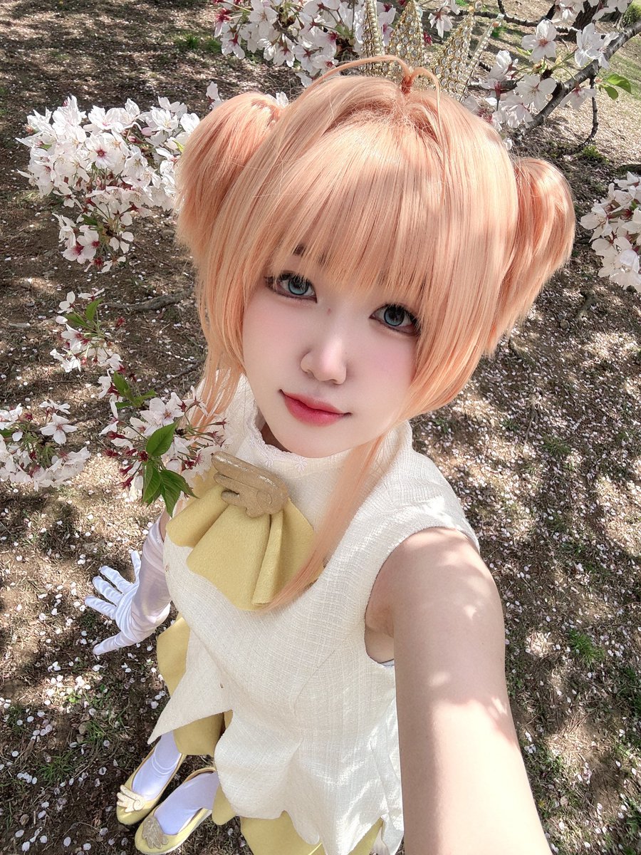 cha_y_y's tweet photo. (๑•᎑•๑)♬*💫 https://t.co/UrvV3HguvR