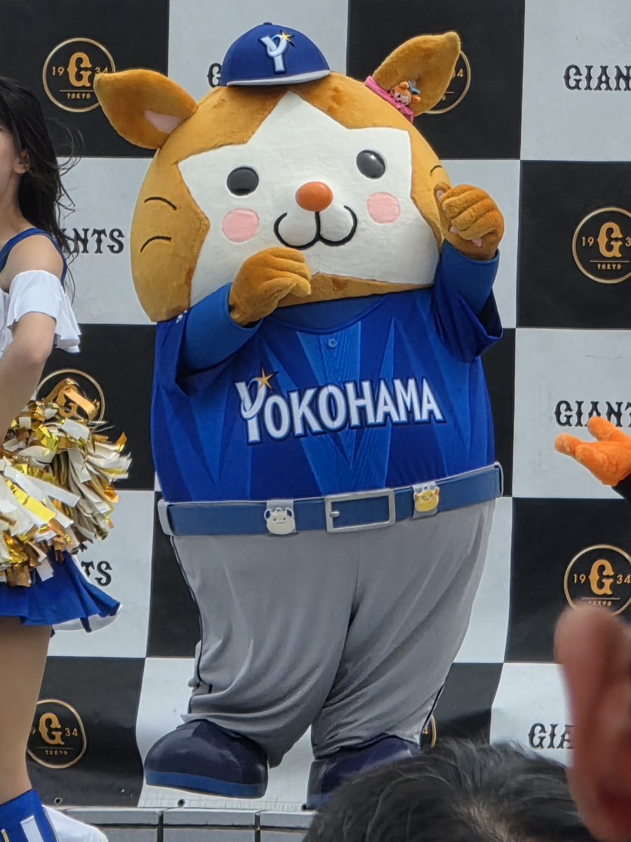 온기고🐇Autumn’s lady🐇 tweet media