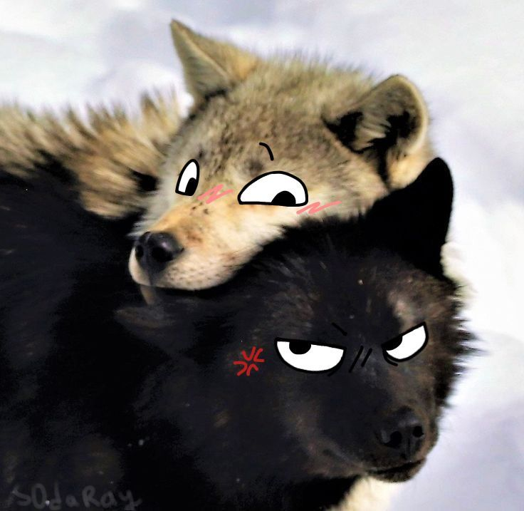 Holi, quisiera ofrecerme para tramas de reconstrucción y basadas en lo que pasó en la tramita, si alguien quiere de MG e iré a su MD 🐾🐾🐺