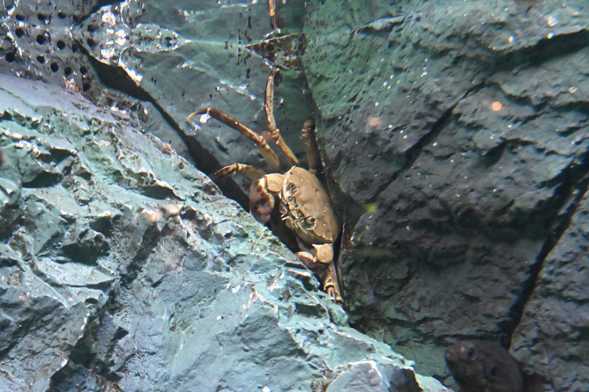 ゆーえぬ tweet media