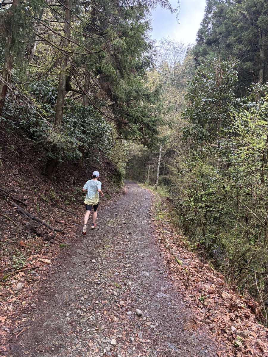 江西@エッセイ連載中 tweet media