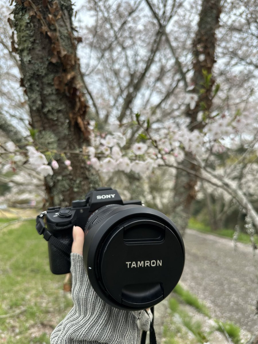 ありまかめら tweet media