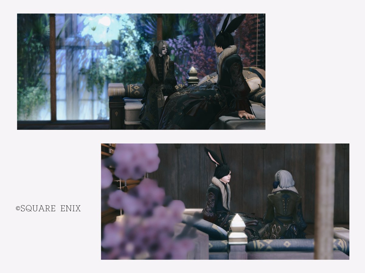 ﾚヵ゛ｺ🤚🏿＠🦁 tweet media