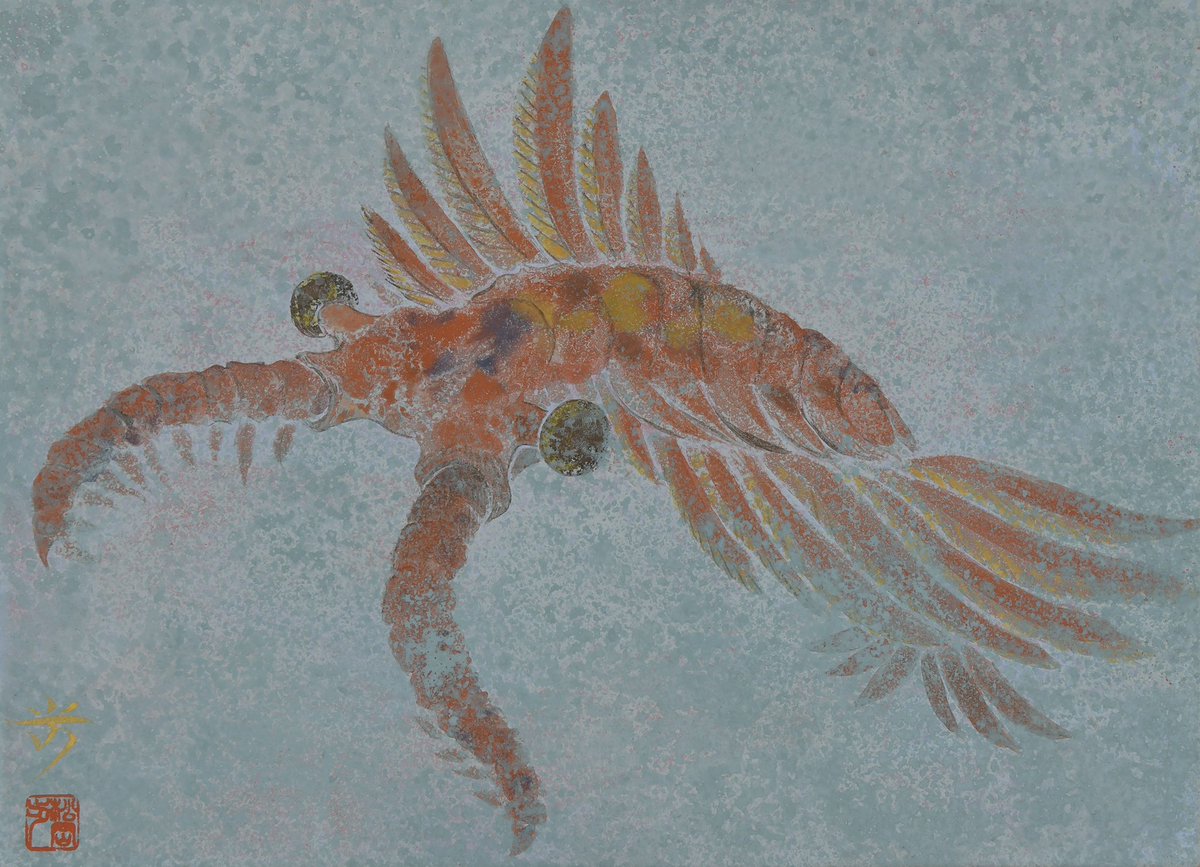 松岡歩 tweet media