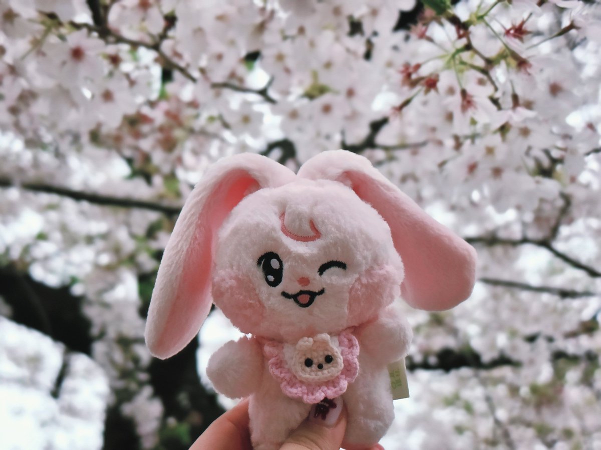 해니미니 tweet media