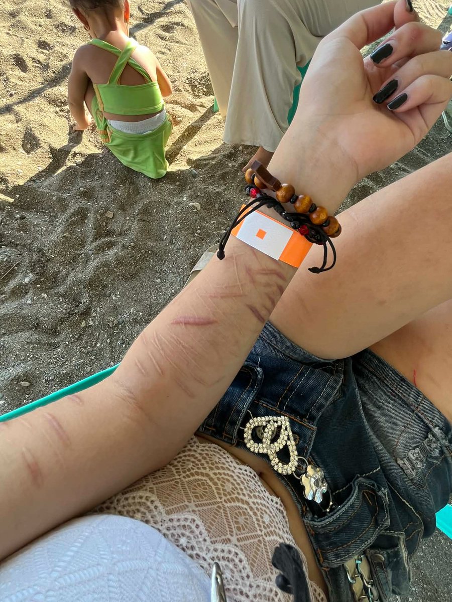 • ೀ 𝓚𝓲𝓻𝓲 °‧ 🦈⚓ 𝓸𝓯 𝓢𝓱𝓮𝓭𝓽𝔀𝓽 ა ᱖ ´ tweet media