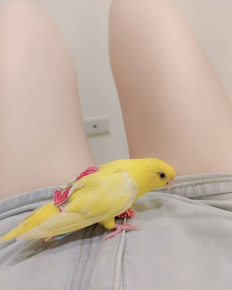 🌾lita tweet media