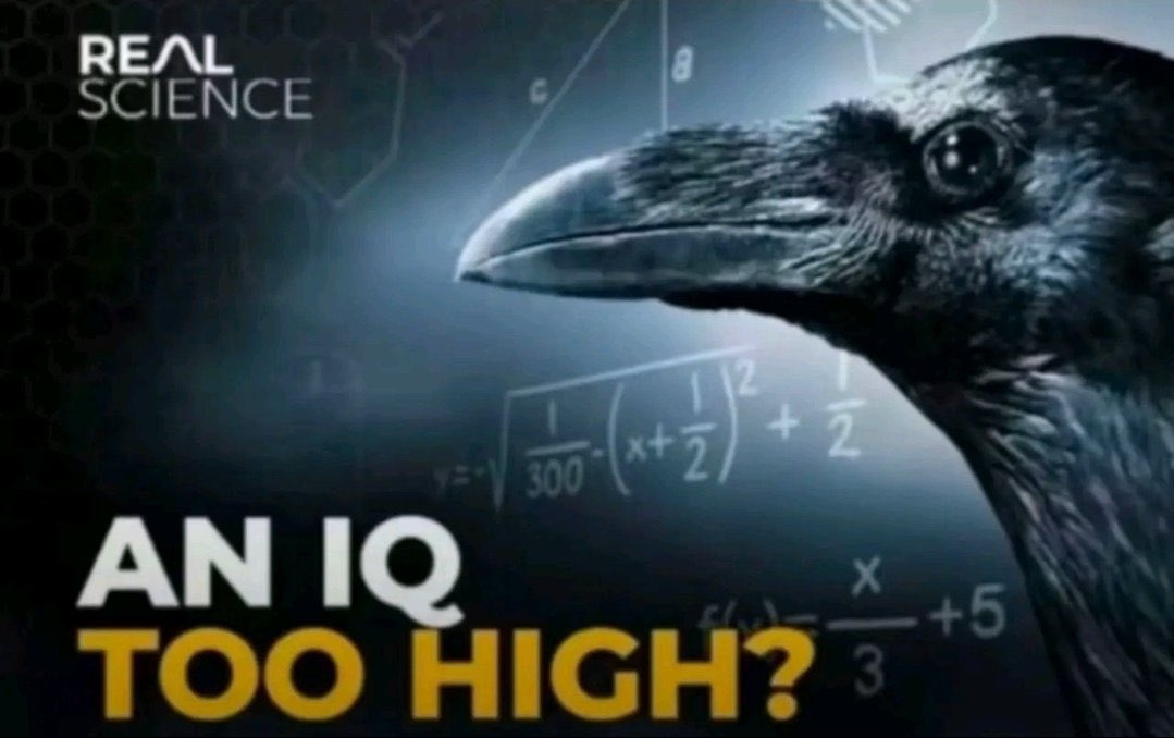 実験デジタル工芸会 (仮) tweet media