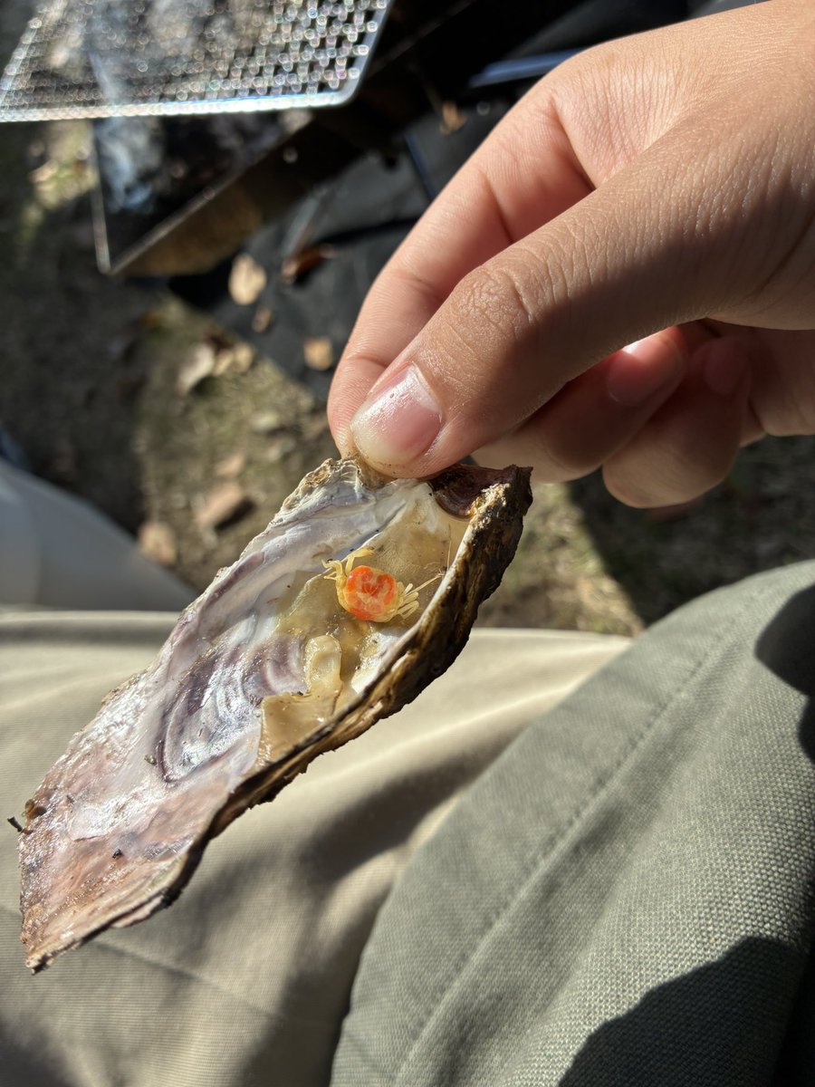 みすたーじゅん tweet media