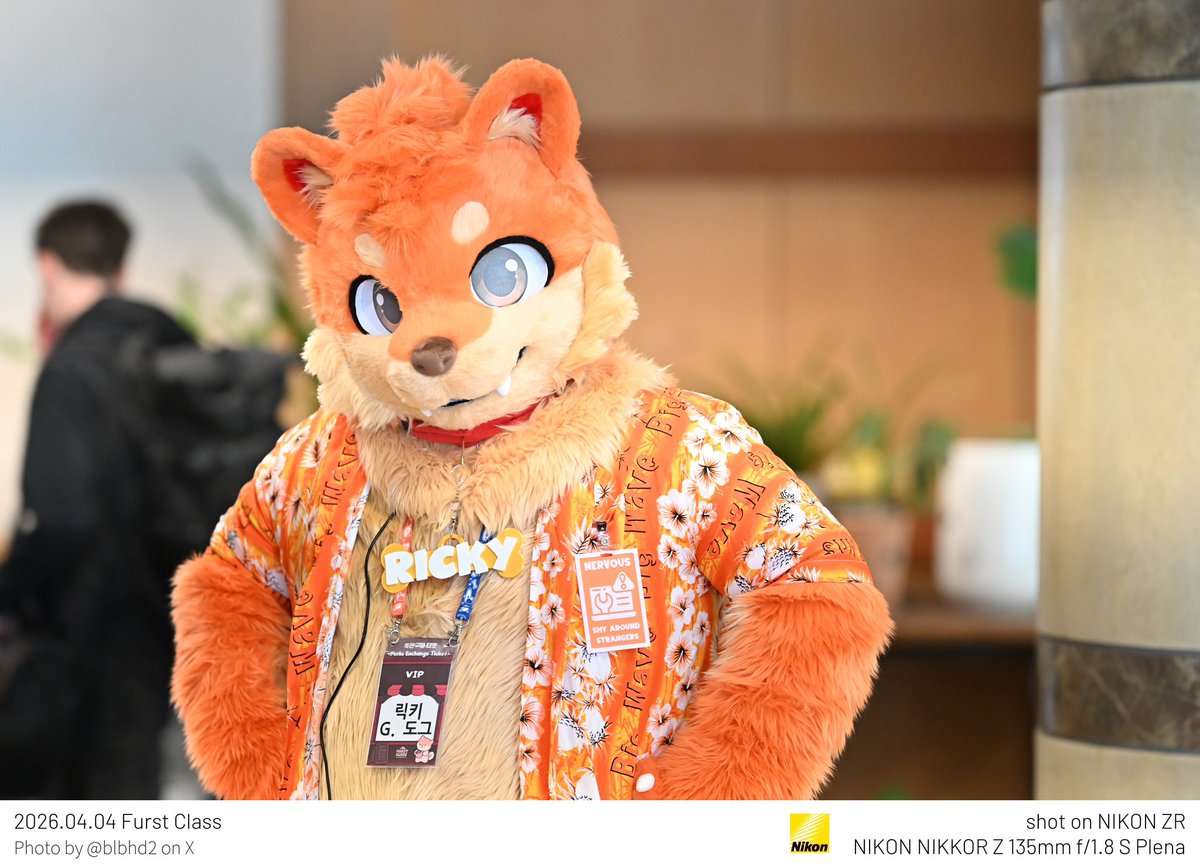 ㅂㅔ둥 tweet media