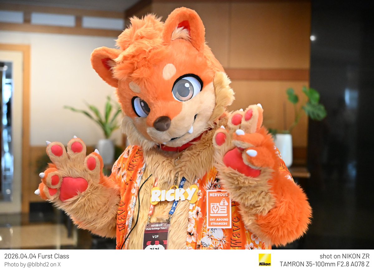 ㅂㅔ둥 tweet media