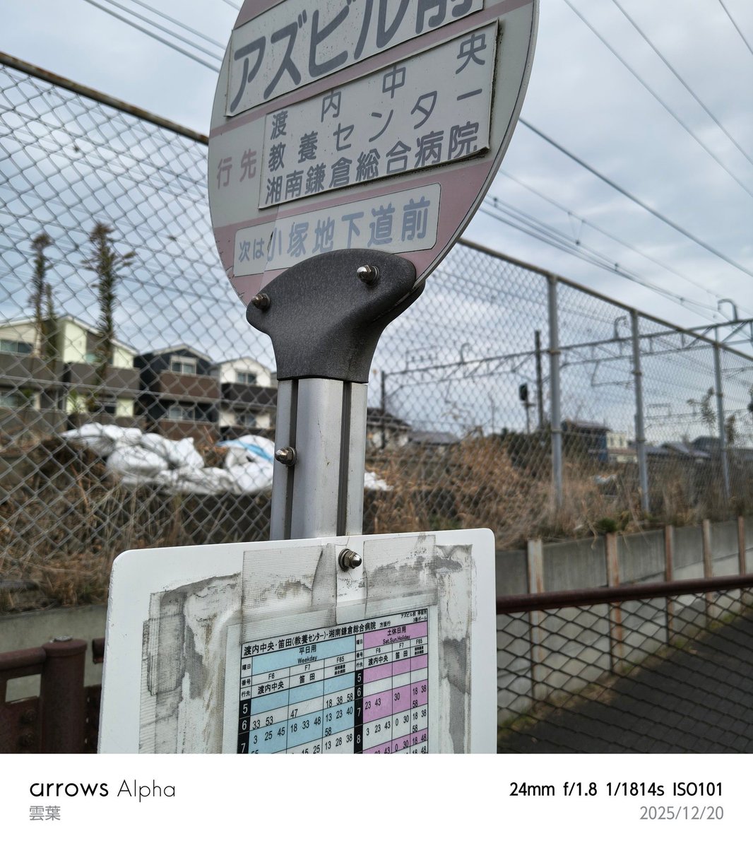 雲葉＠中原電洒区 tweet media