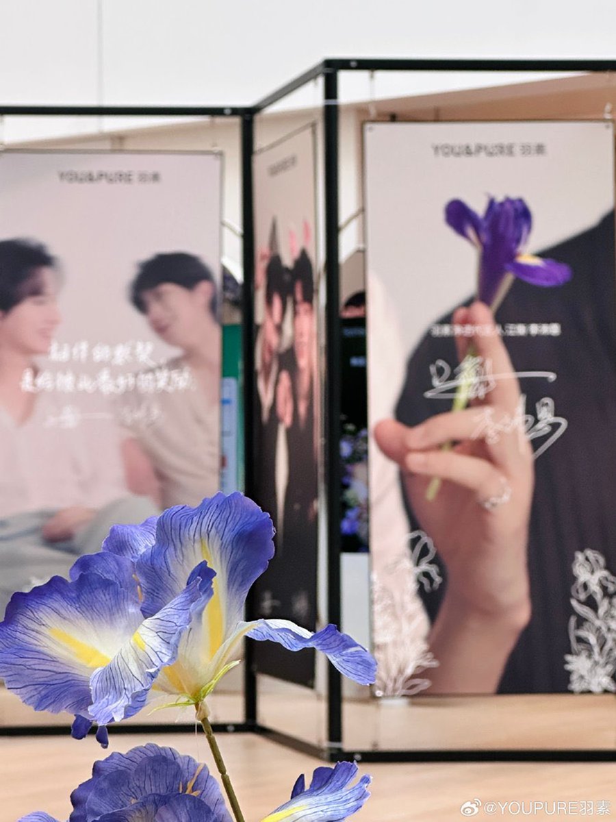 jiangli LeLe TH (Slow) tweet media