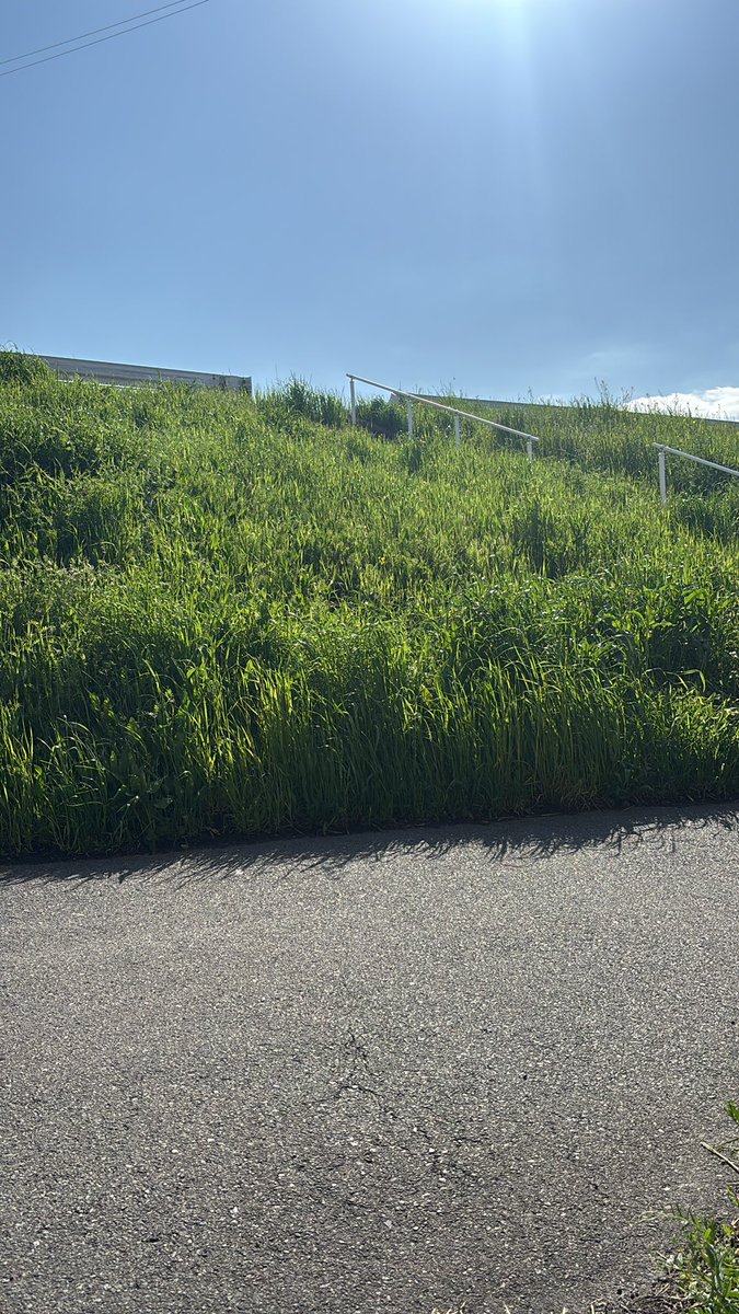 🖇mickey*･ﾟ｡✴︎☆❤︎ぐらこ💩 tweet media