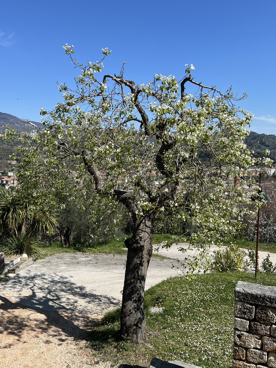 Volker Türk tweet media