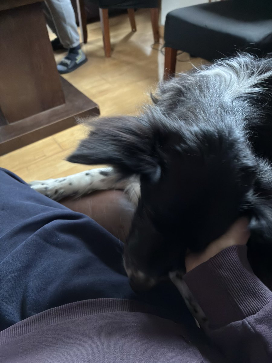 Ann-Aliss tweet media