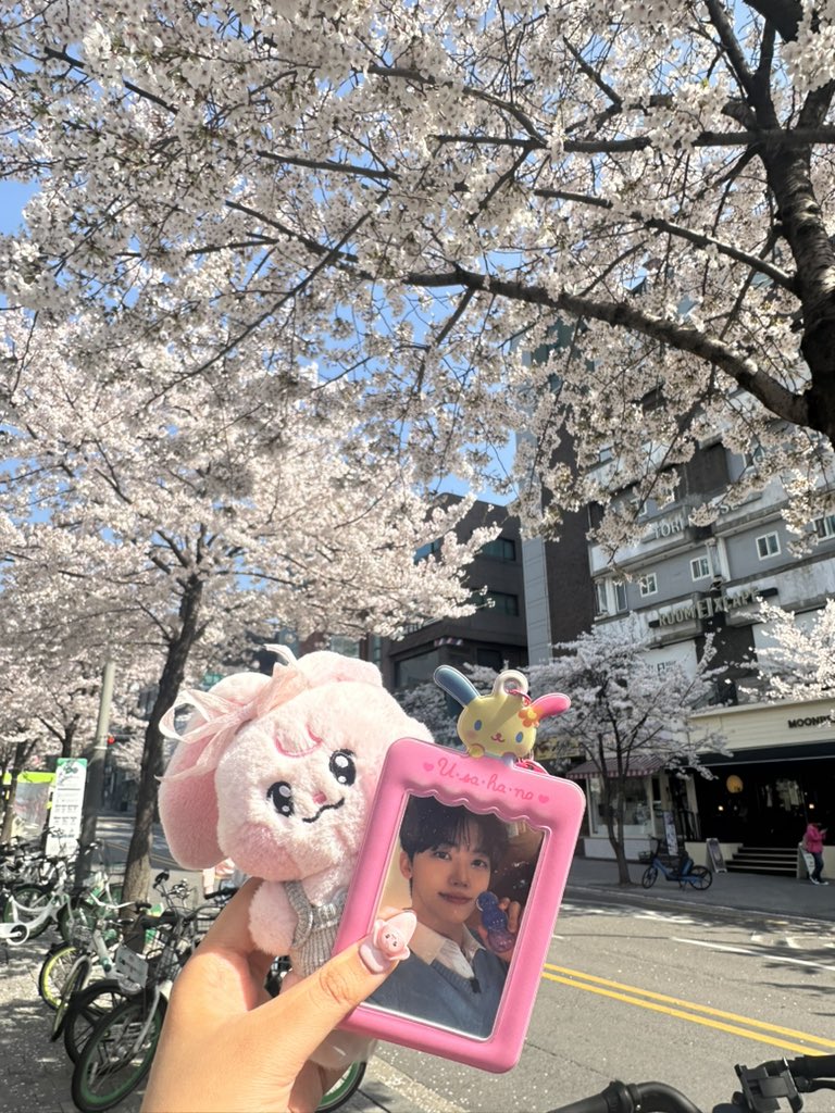 𝄞⨾𓍢ִ໋ tweet media