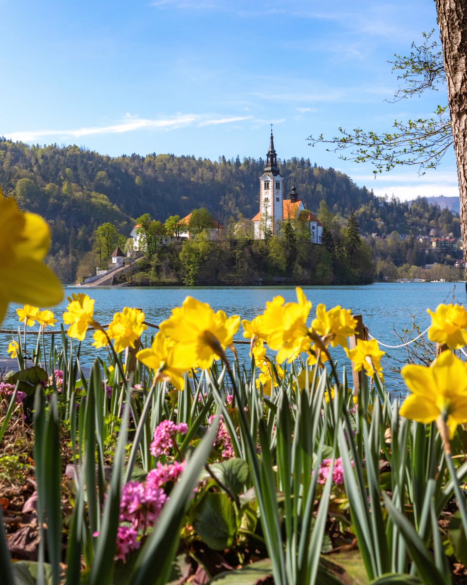 Bled Slovenia tweet media