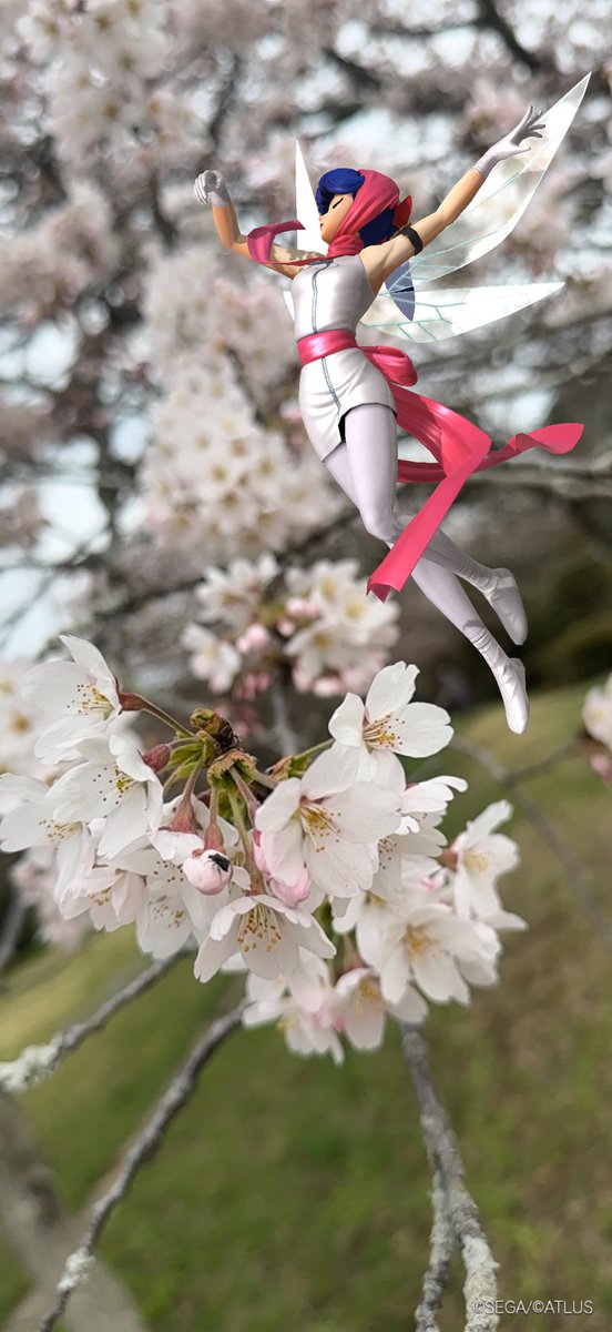 ノムーの霜精 tweet media