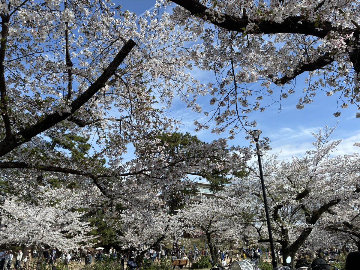 garavella tweet media