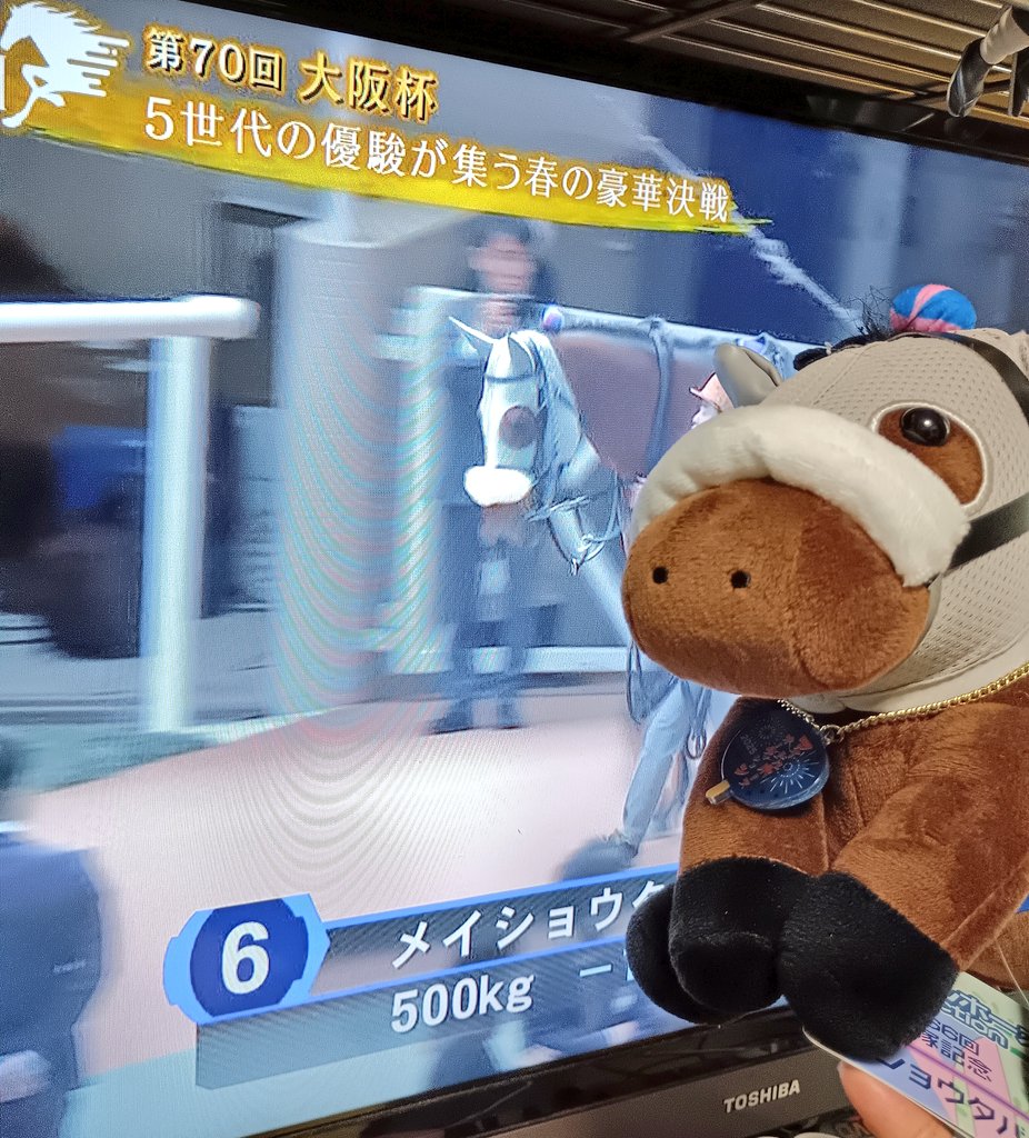 🐮😸まいか🍓💋 tweet media