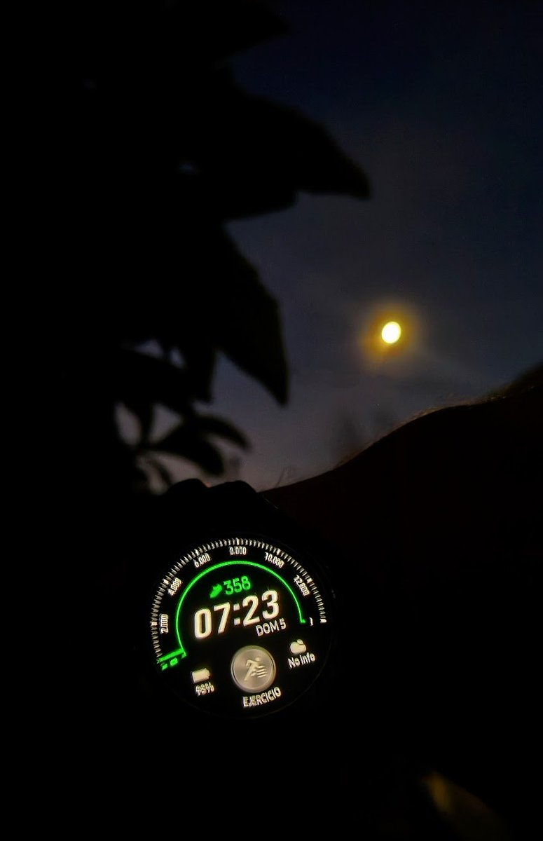 Hugo ☀️ NOgymNOlimits tweet media