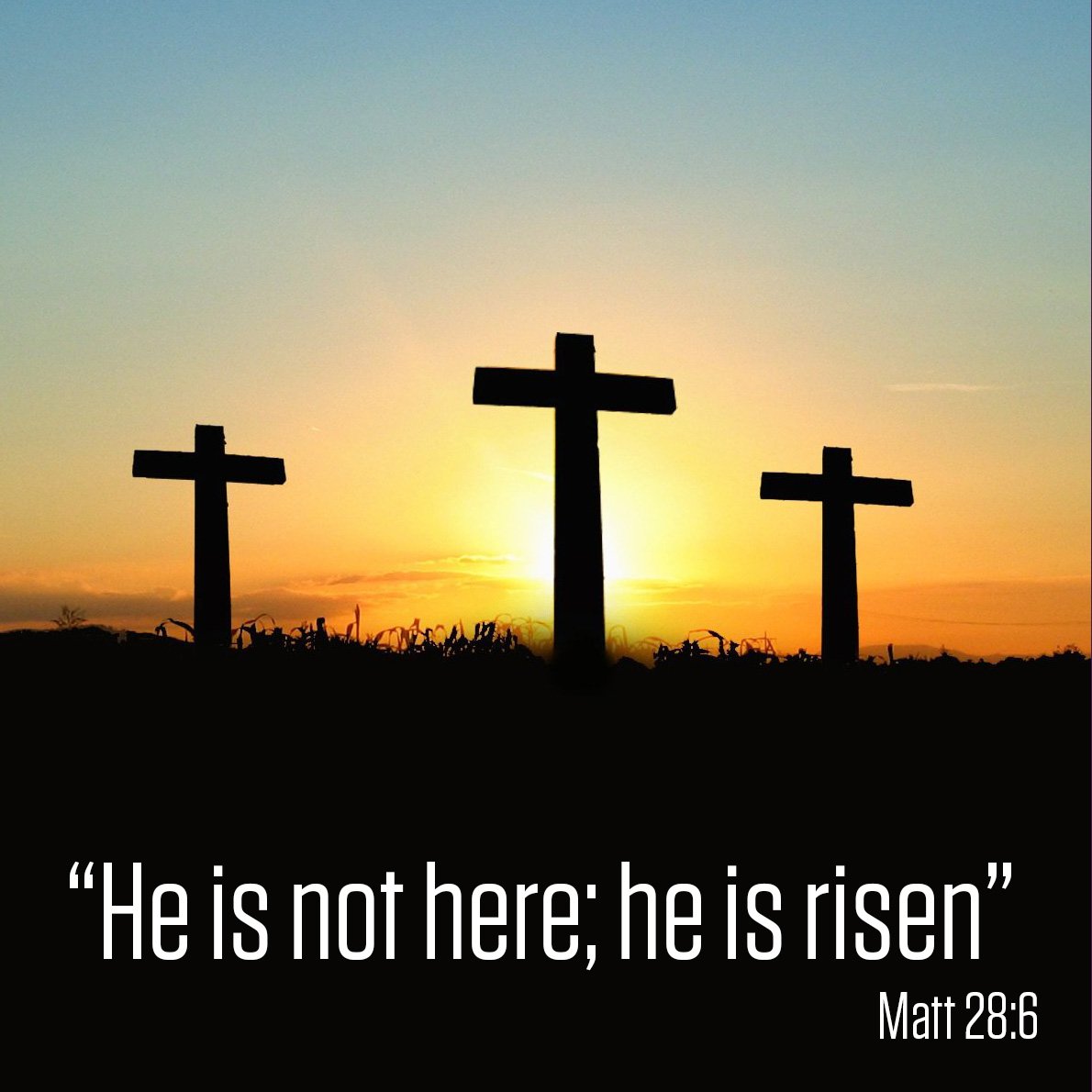 Embrace the Middle East tweet media